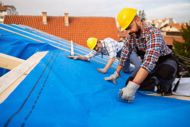 Best Rubber Roofing (EPDM, TPO)  in Darlington, WI