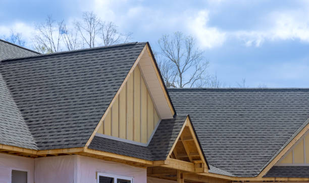 Best Asphalt Shingles Roofing  in Darlington, WI